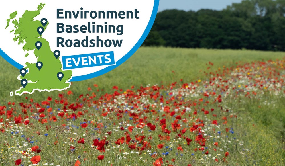 A field of crops with a wild flower edge.